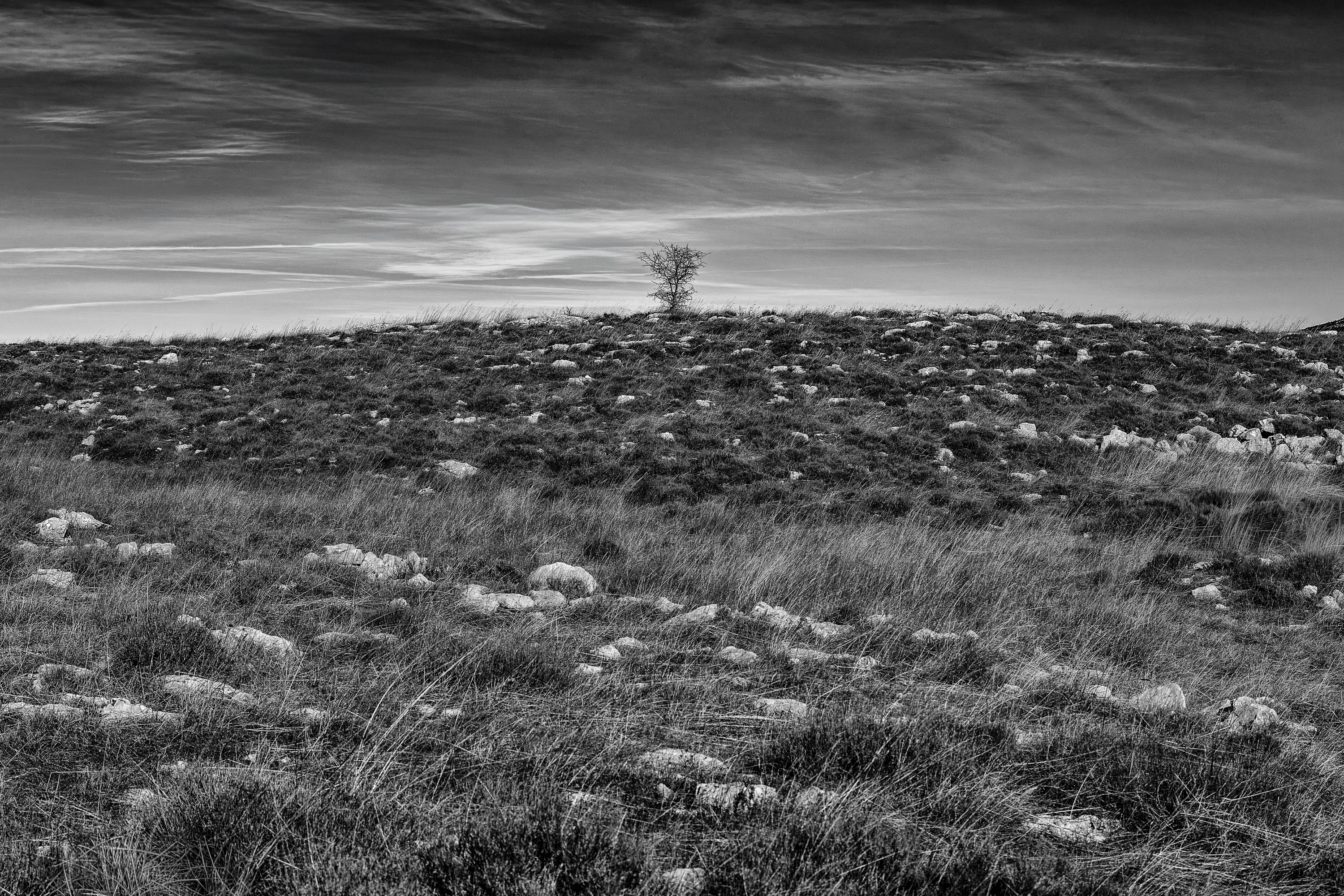 MDY - Caussols (GR4) 2.jpg