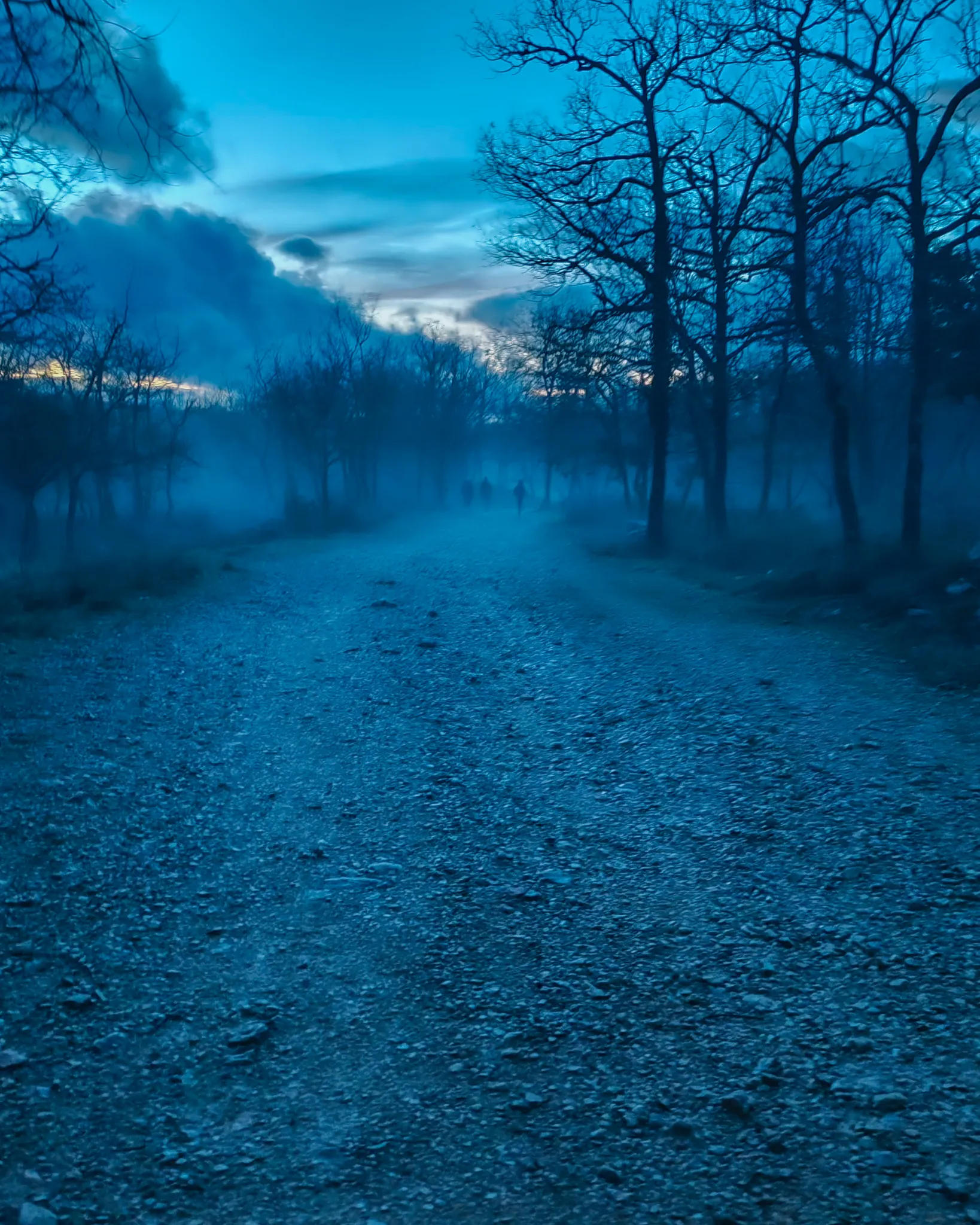 MDY - Silhouette (5 sur 6).jpg